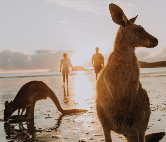 Accommodation in Mackay, QLD 4740