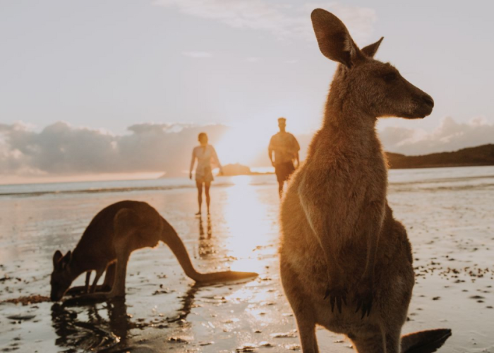 Mantra-Mackay-Stay-Longer-Pay-More